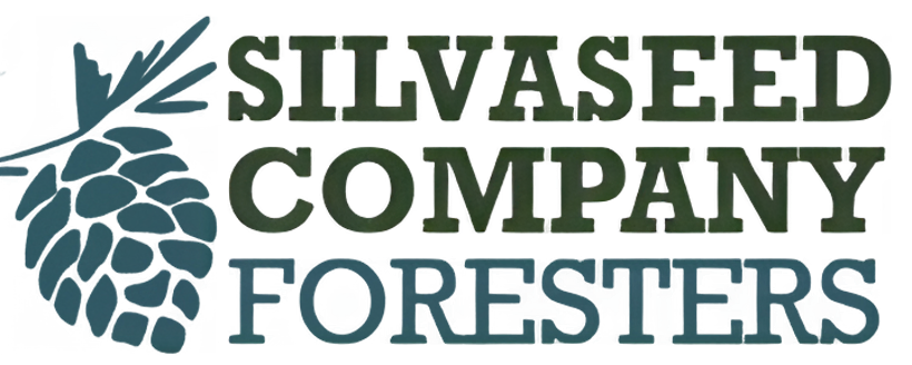 Silvaseed logo
